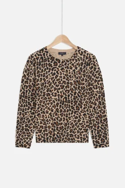 Pull Mado Femme*CAROLL Shop