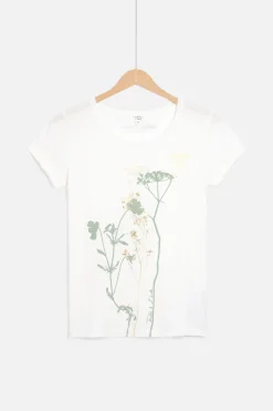 T-Shirt Maxine Ivoire Femme*CAROLL Cheap